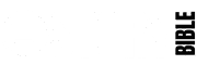 Story Bible and Studio Logo (180 x 60 px)